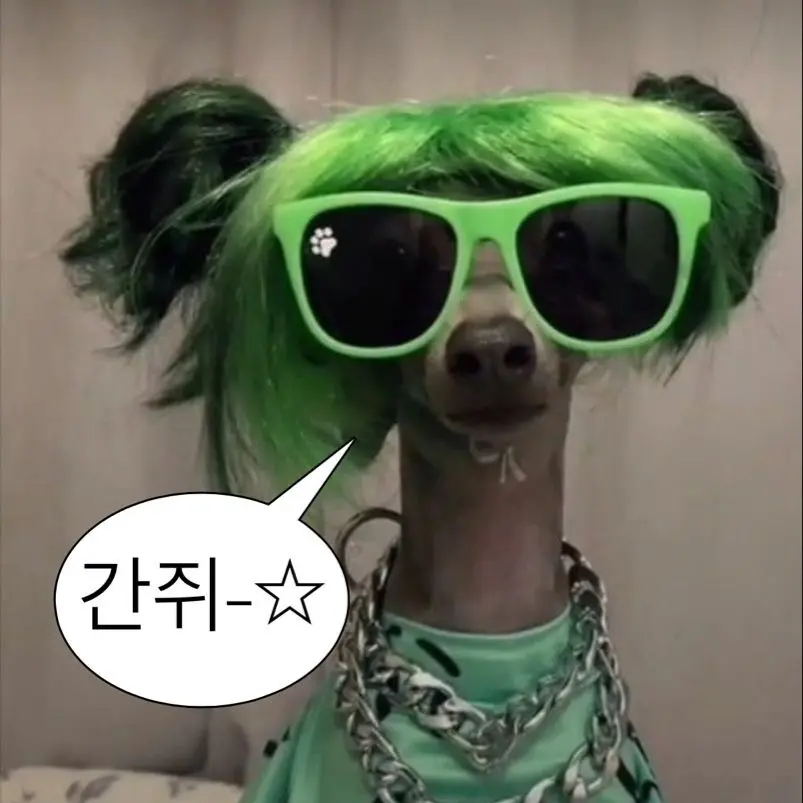 hyunjin._.45의 강아지
