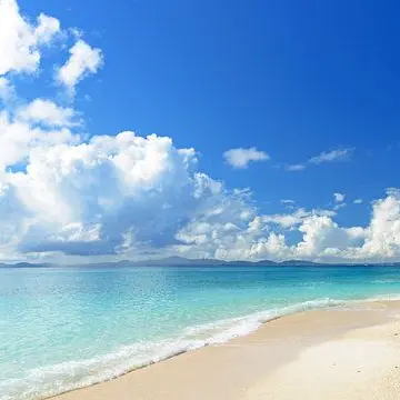 Profile image of 海