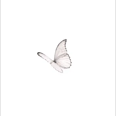 Profile image of SOTA