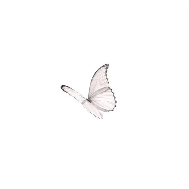 RURUKA_67.67의 ᐡ ̳ᴗ ̫ ᴗ ̳ᐡ♡