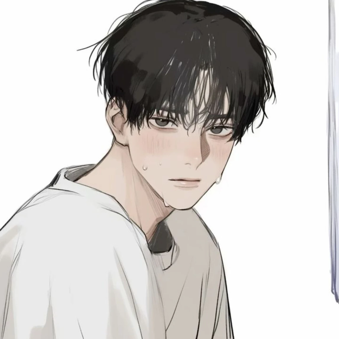 권도헌