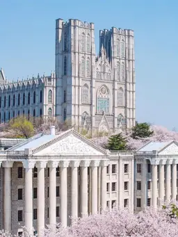 Profile image of 경희대