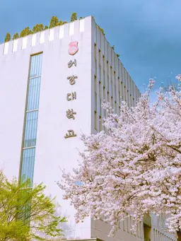 Profile image of 서강대