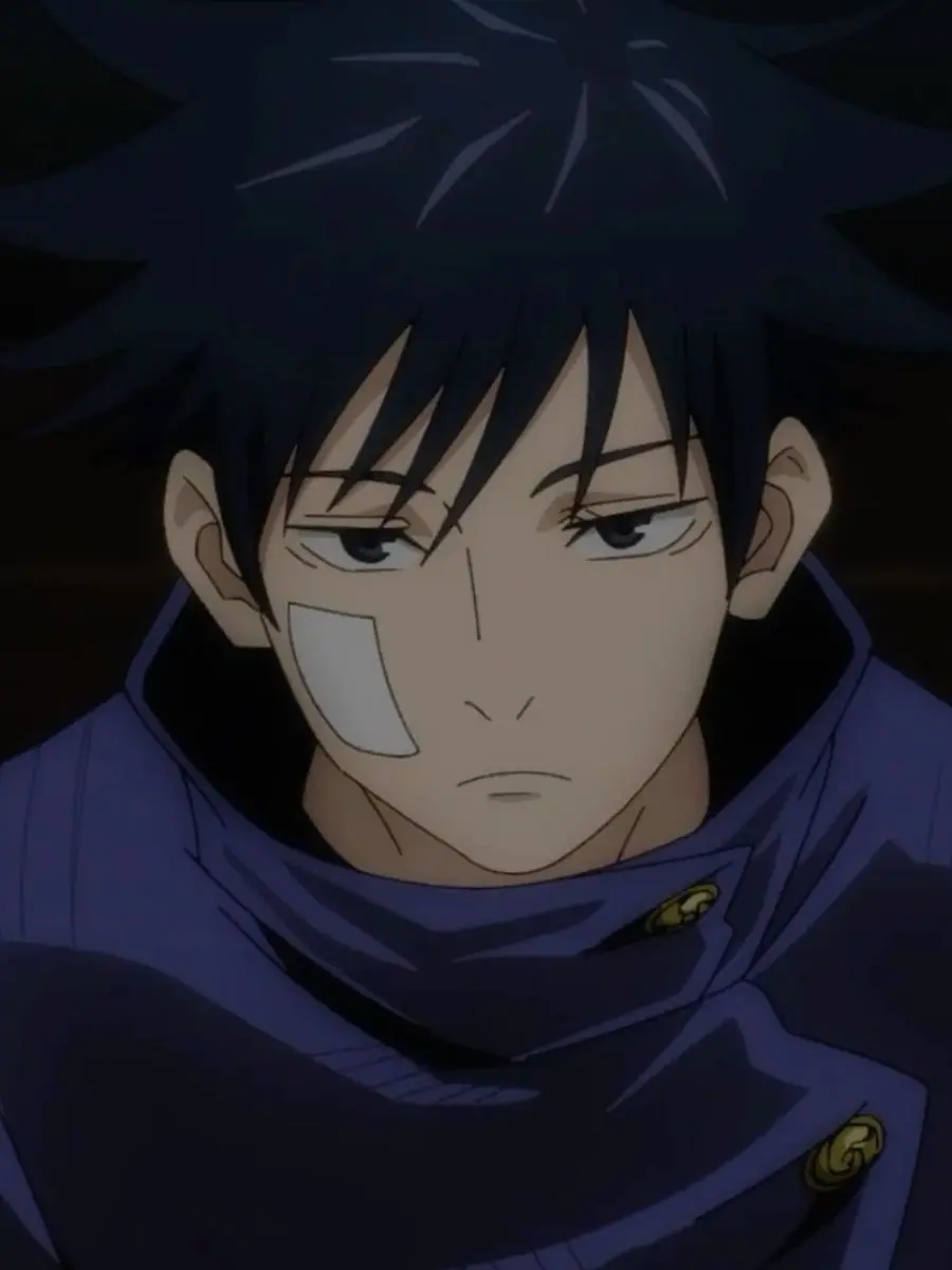 PureToque5323의 伏黒恵