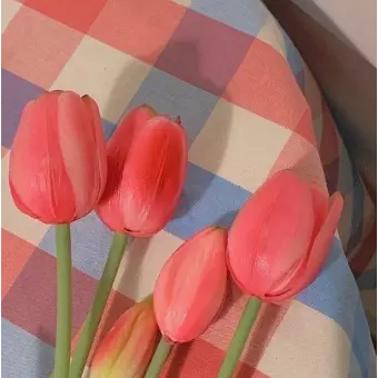 Profile image of 마플