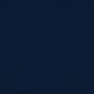 Profile image of 将真