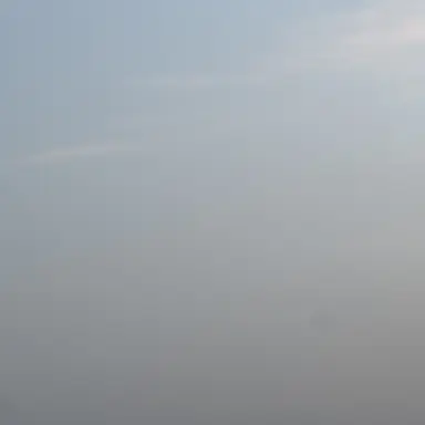 Profile image of 백지헌