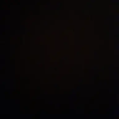 Profile image of 스쿼름