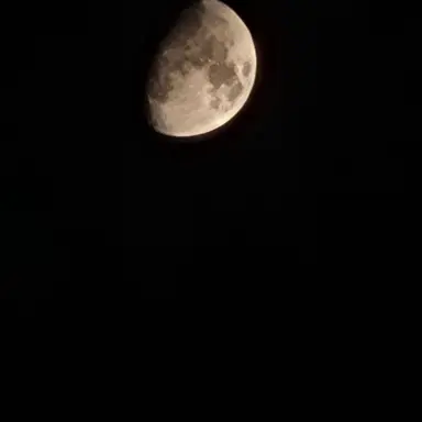Profile image of 재재