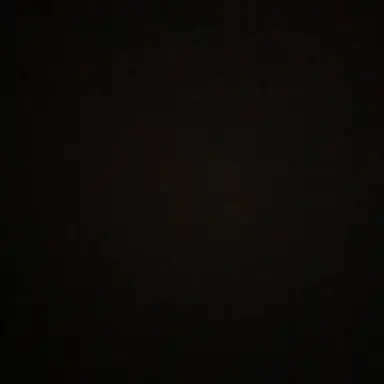 Profile image of H