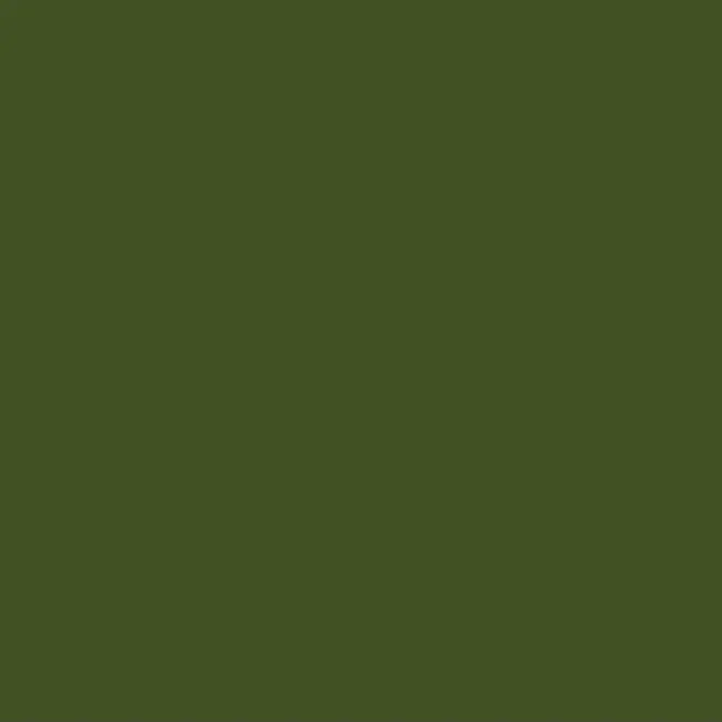 dlsledls의 정공룡
