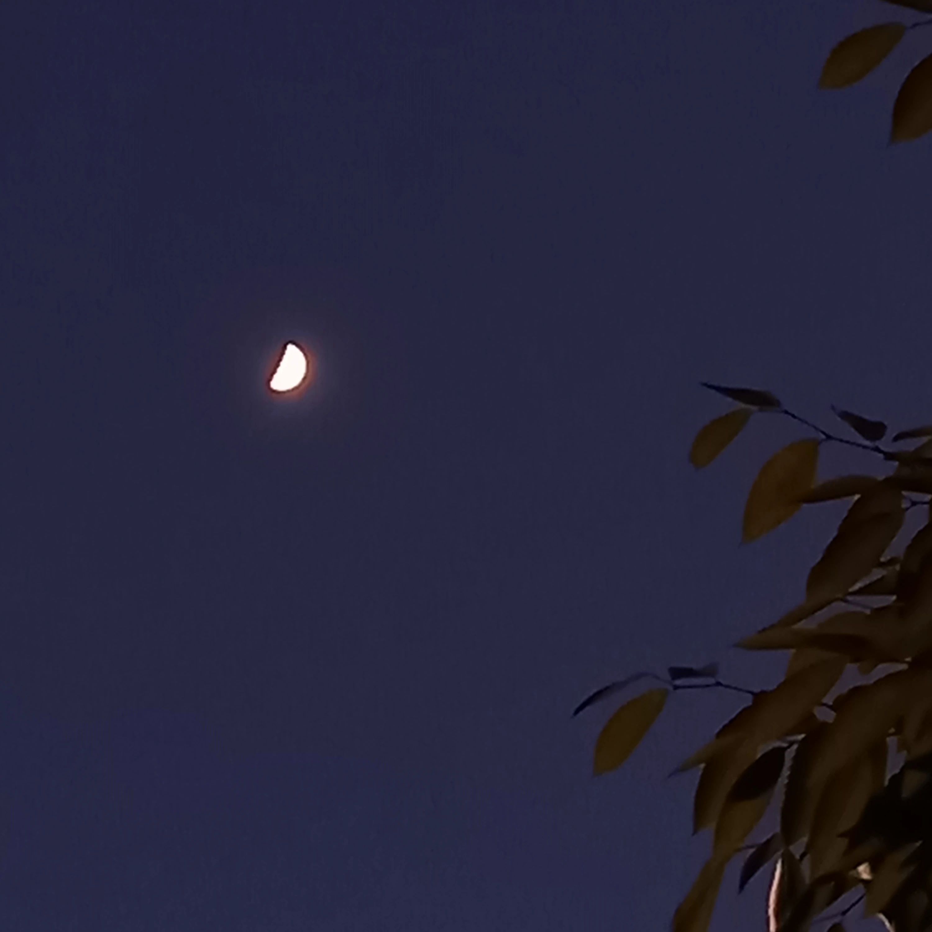 별똥별