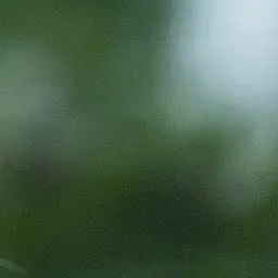 Profile image of ヨシ