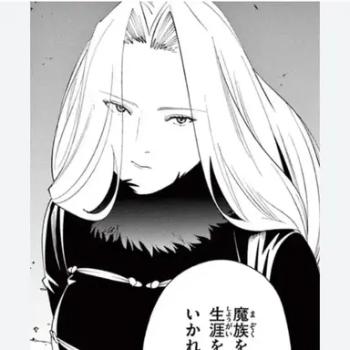 Profile image of メトーデ