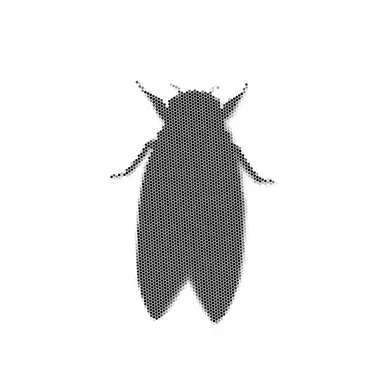 Profile image of 글러트니