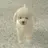 뭉