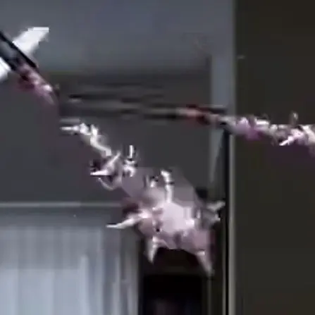 FestalPoem4449의 저주인형