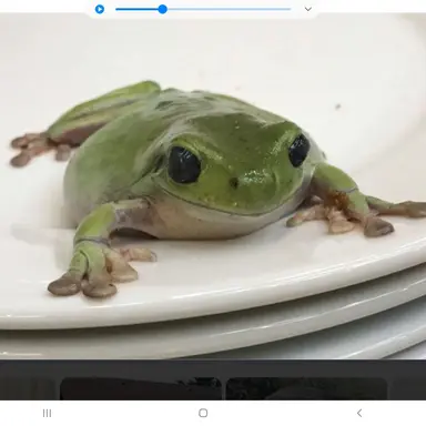 Profile image of 텔러