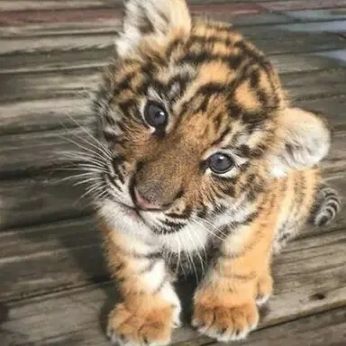 Profile image of 송민기