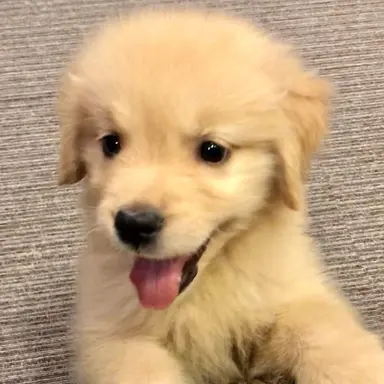 Profile image of 정윤호