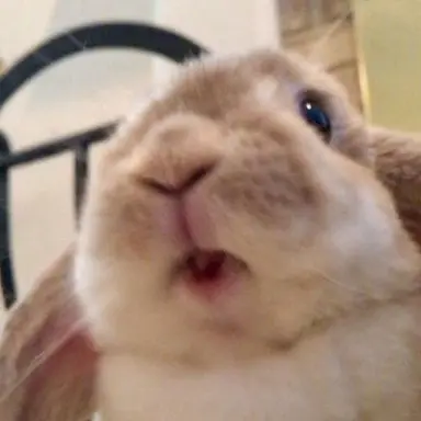 Profile image of 박성화