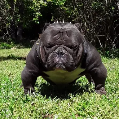 Profile image of 곽뚱녀