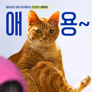 Profile image of 이애용