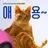 이애용