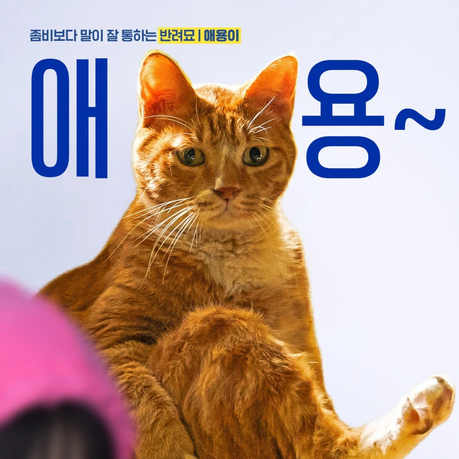 이애용
