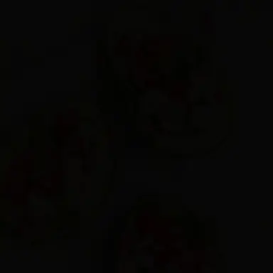 Profile image of 에단
