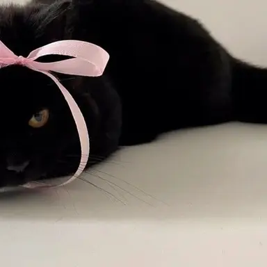 Profile image of 大 森  元 貴