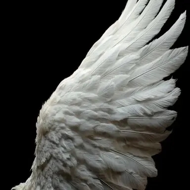 Profile image of Michael