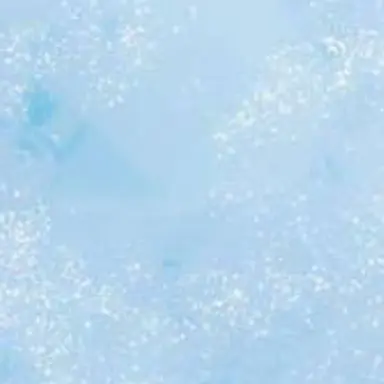 Profile image of ねちかさま