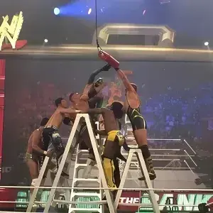 Profile image of WWE Injury