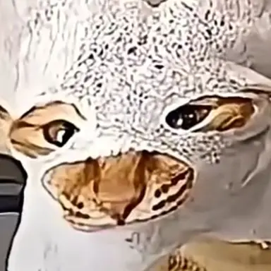 Profile image of 김늑대