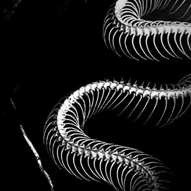 Profile image of 미르