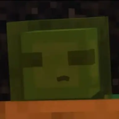 Profile image of Lime