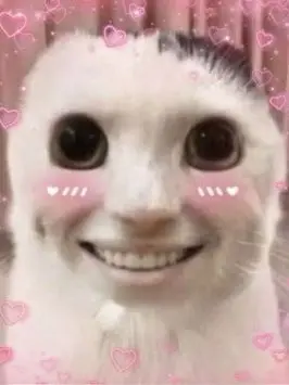 ItchyShrew1016의 작아진 댄디