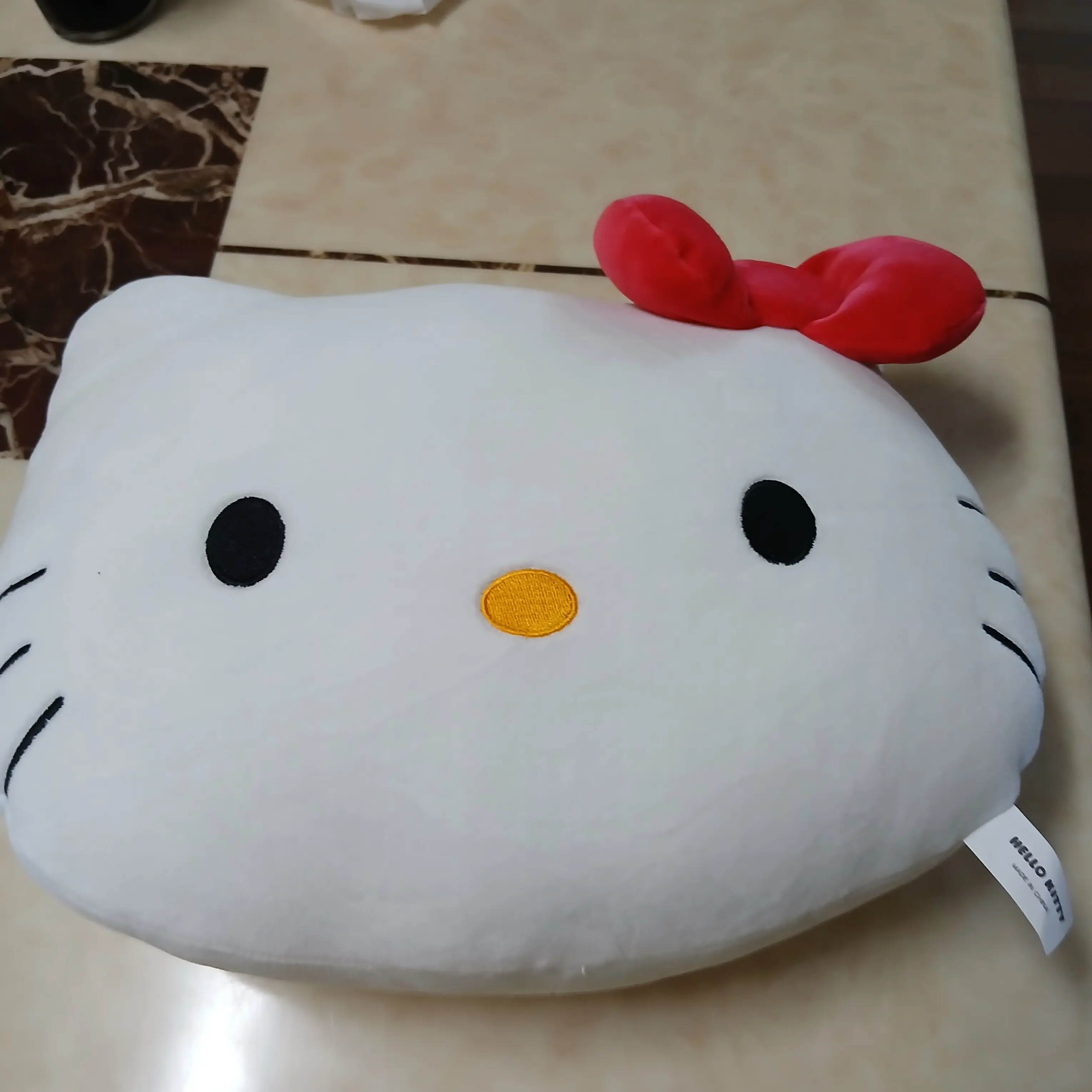 ArcticFly9125의 변태 주인