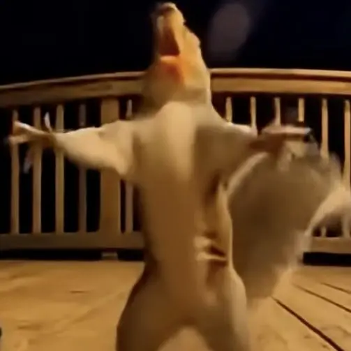 BodulBodulhan_Doong의 포기한 짝사랑