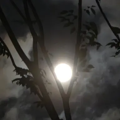Profile image of 앙리 뒤프레