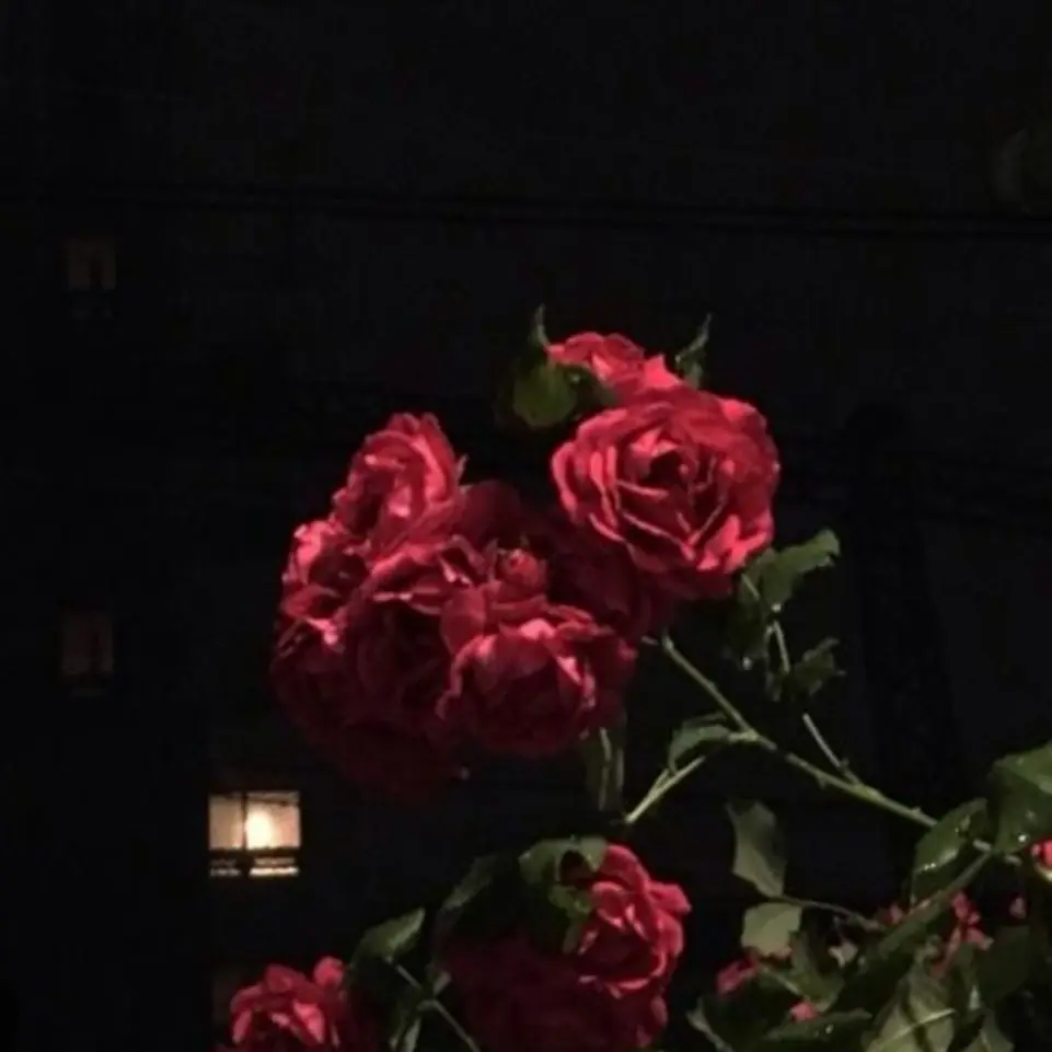 smileLife014의 I Only Look at You