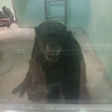 Profile image of 여우