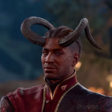 Profile image of Wyll