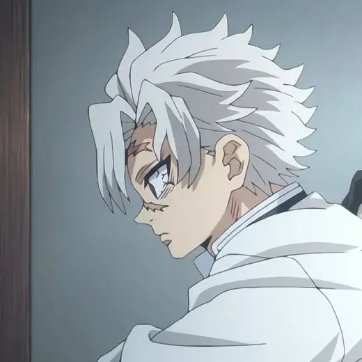 anm_e_0203의 시나즈가와 사네미