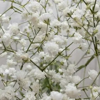 yool3234의 박영환