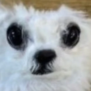 정민