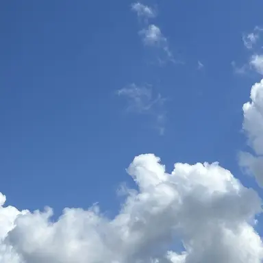 Profile image of 감제이와 루이쨘