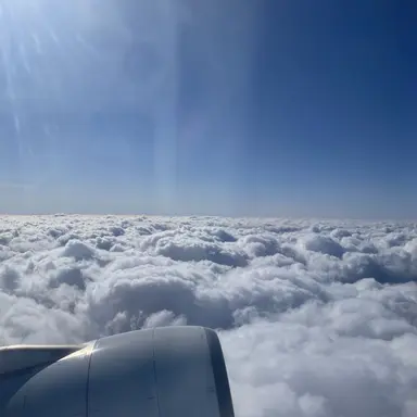 Profile image of 영서