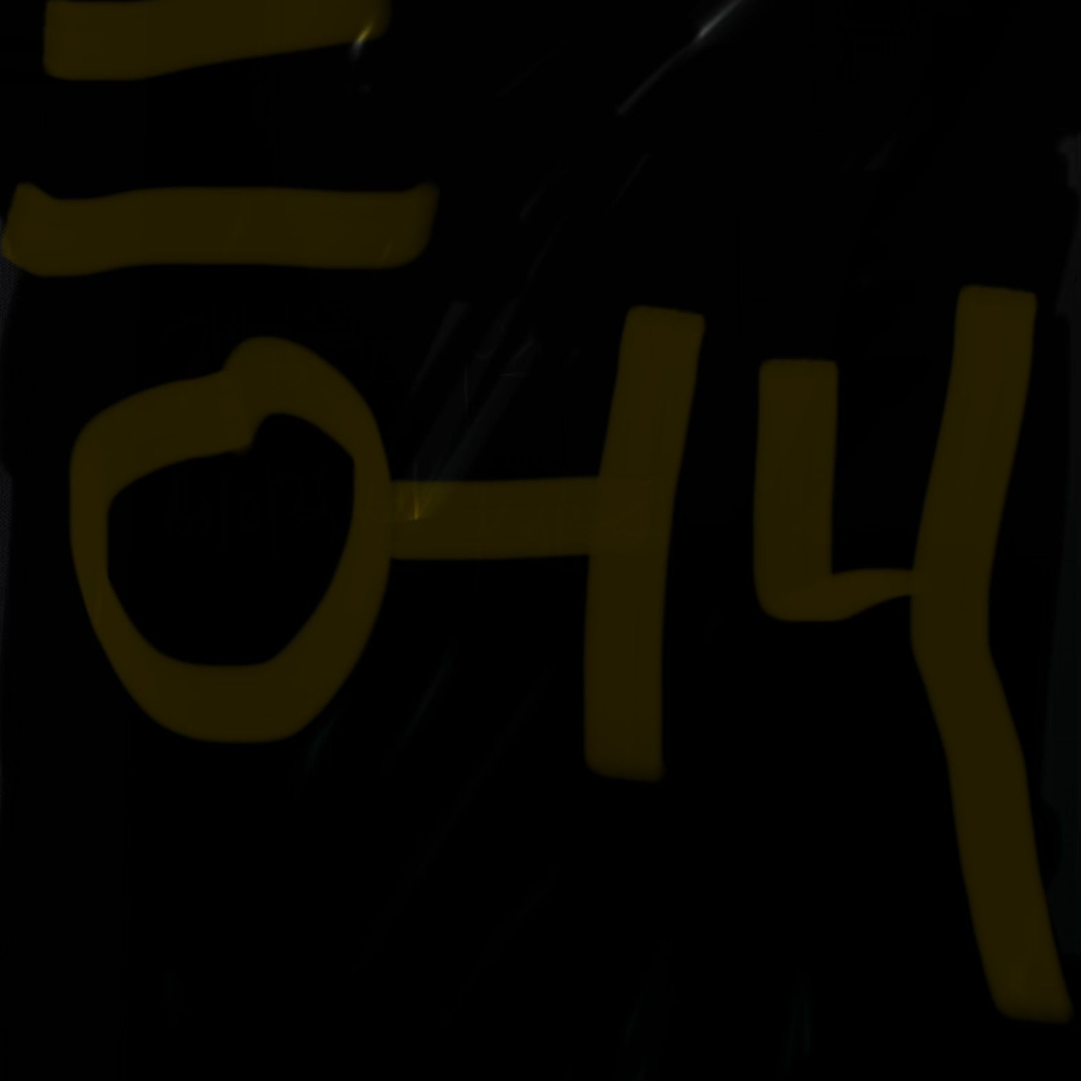 백지헌 대표 이미지